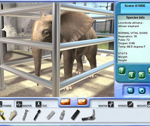 Zoo Vet 2: Endangered Animals